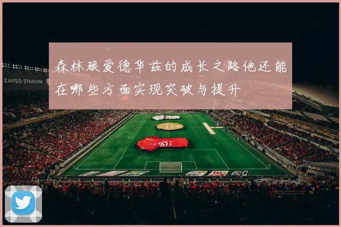 森林狼爱德华兹的成长之路他还能在哪些方面实现突破与提升