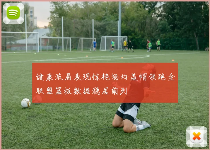 健康浓眉表现惊艳场均盖帽领跑全联盟篮板数据稳居前列