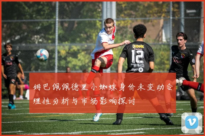 姆巴佩佩德里小蜘蛛身价未变动合理性分析与市场影响探讨