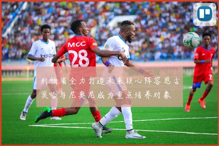 利物浦全力打造未来核心阵容恩古莫哈与尼奥尼成为重点培养对象