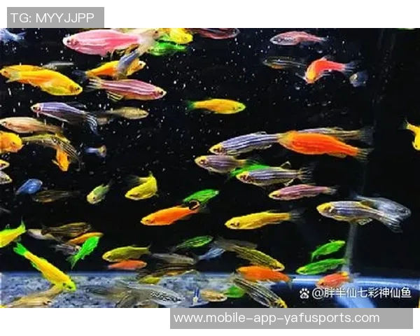 今日趣图:探讨鱼缸中的咸水鱼与淡水鱼共存的可能性与挑战 今日趣图:探讨鱼缸中的咸水鱼与淡水鱼共存的可能性与挑战